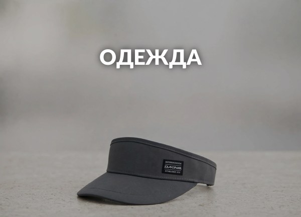Одежда