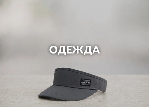 Одежда