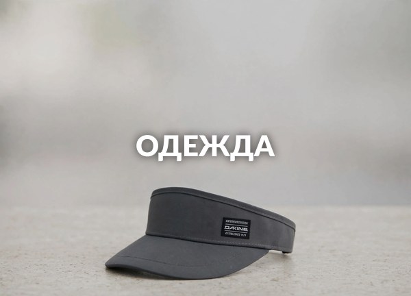 Одежда